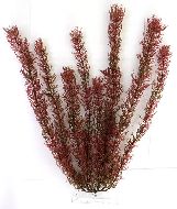 Tetra DecoArt Plantastics Red Foxtail S/15см  растение для аквариума